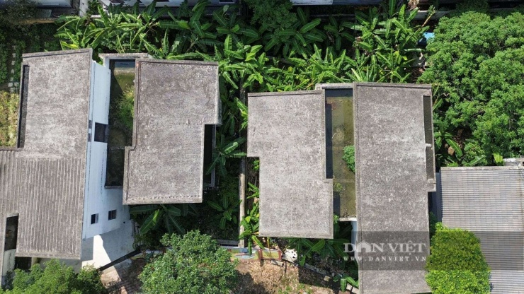 Trên nóc nhà những căn biệt thự bỏ hoang, nước mưa ứ đọng ngập úng cả một phần mái.