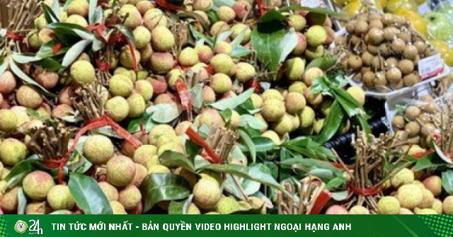 Tiểu thương lý giải giá vải tươi đầu mùa cao chót vót nhưng vẫn đắt hàng