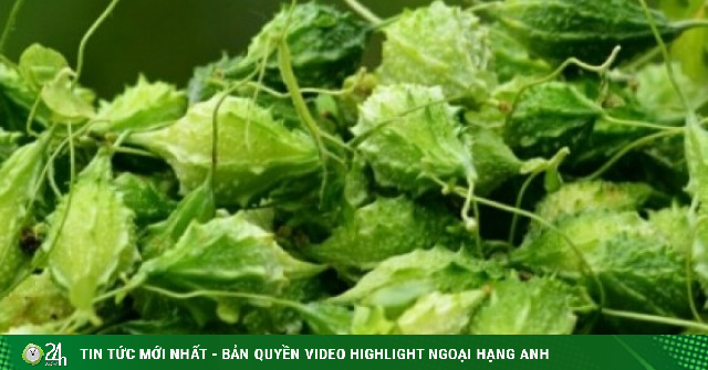 Việt Nam có vị thuốc quý bổ đủ đường cho sức khỏe và sắc đẹp