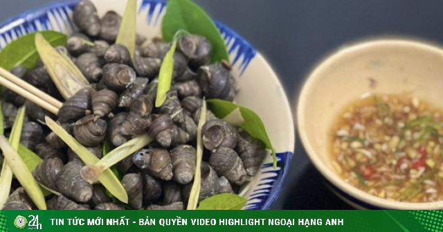 Luộc ốc bao nhiêu phút để vừa chín tới và dễ khều nhất?