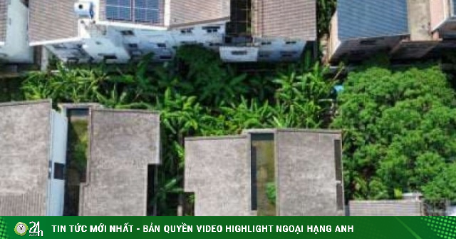 Xót xa những khối tài sản hàng chục tỷ đồng bị bỏ hoang, đứng chen cùng chuối um tùm ở cửa ngõ Hà Nội