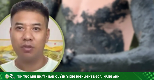 Cuộc đào thoát khỏi 'địa ngục' lừa đảo Myanmar của cựu quân nhân Trung Quốc