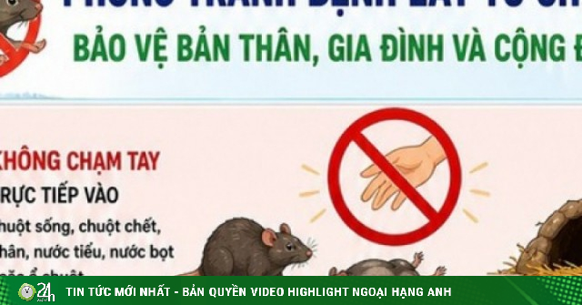 [Infographic] 5 khuyến cáo phòng bệnh virus Hanta