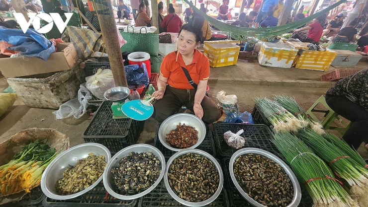 Nhờ bán "đặc sản núi rừng", tiểu thương ở chợ Nà Si có thu nhập khá tốt.