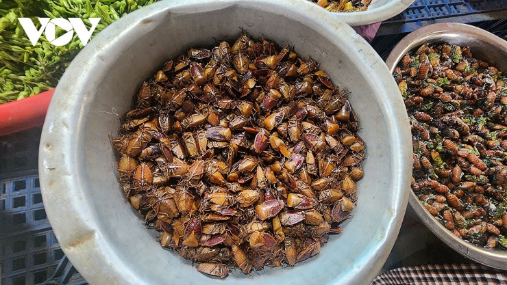 Mùa này mặt hàng nhiều nhất là bọ xít và ve sầu non. Bọ xít có giá từ 50-60.000đ/kg.