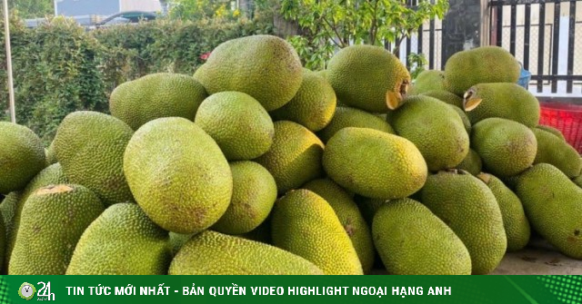 Một loại quả Việt thơm nức mũi, ruột vàng ươm đang vào mùa giá chỉ chục nghìn đồng/kg