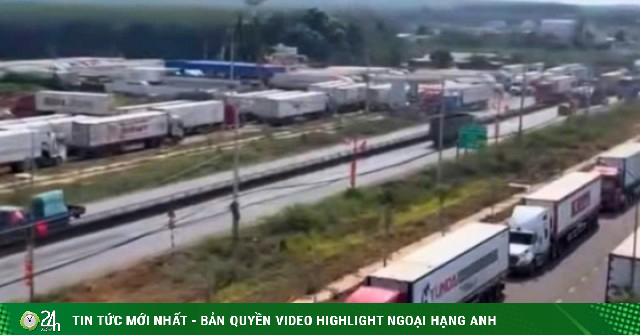 Hàng trăm xe container chở sầu riêng ùn ứ ở Dầu Giây, xếp hàng chờ kiểm định