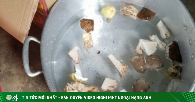 Sơn La: Ăn canh nấm rừng nghi ngộ độc, 1 người tử vong, nhiều người nhập viện