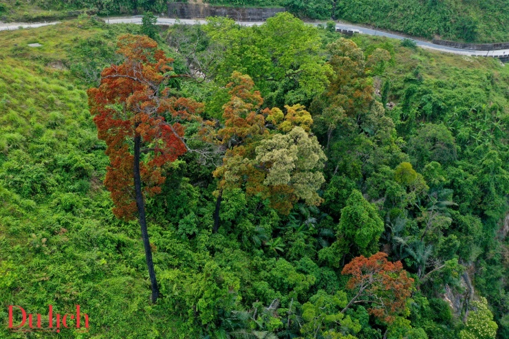Cung đường Trường Sơn Đông đẹp như mơ vào mùa hoa nở - 14