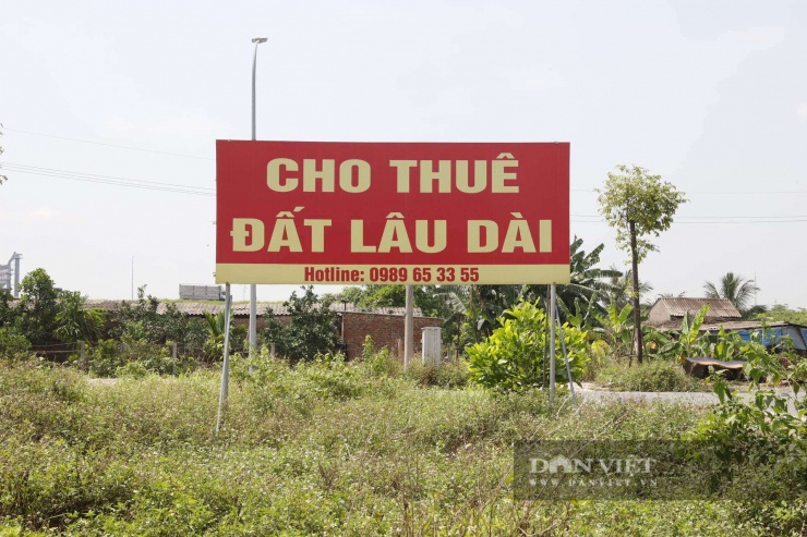 Cả khu đất chỉ còn xuất hiện duy nhất tấm biển "Cho thuê đất lâu dài".