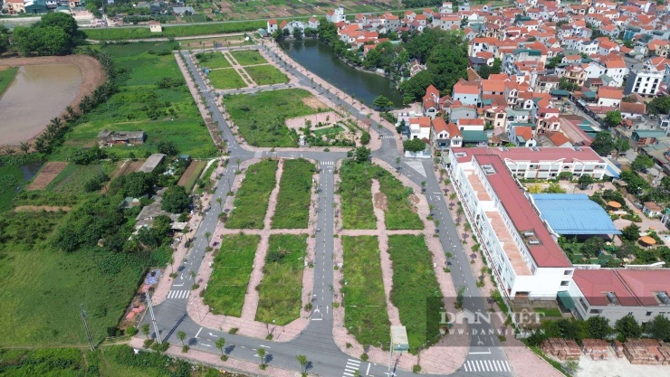  Biển quảng cáo mất hút, cỏ mọc lút đầu người - 18
