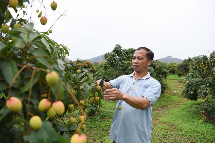 Kẻ cười vì được giá, người khóc mất mùa