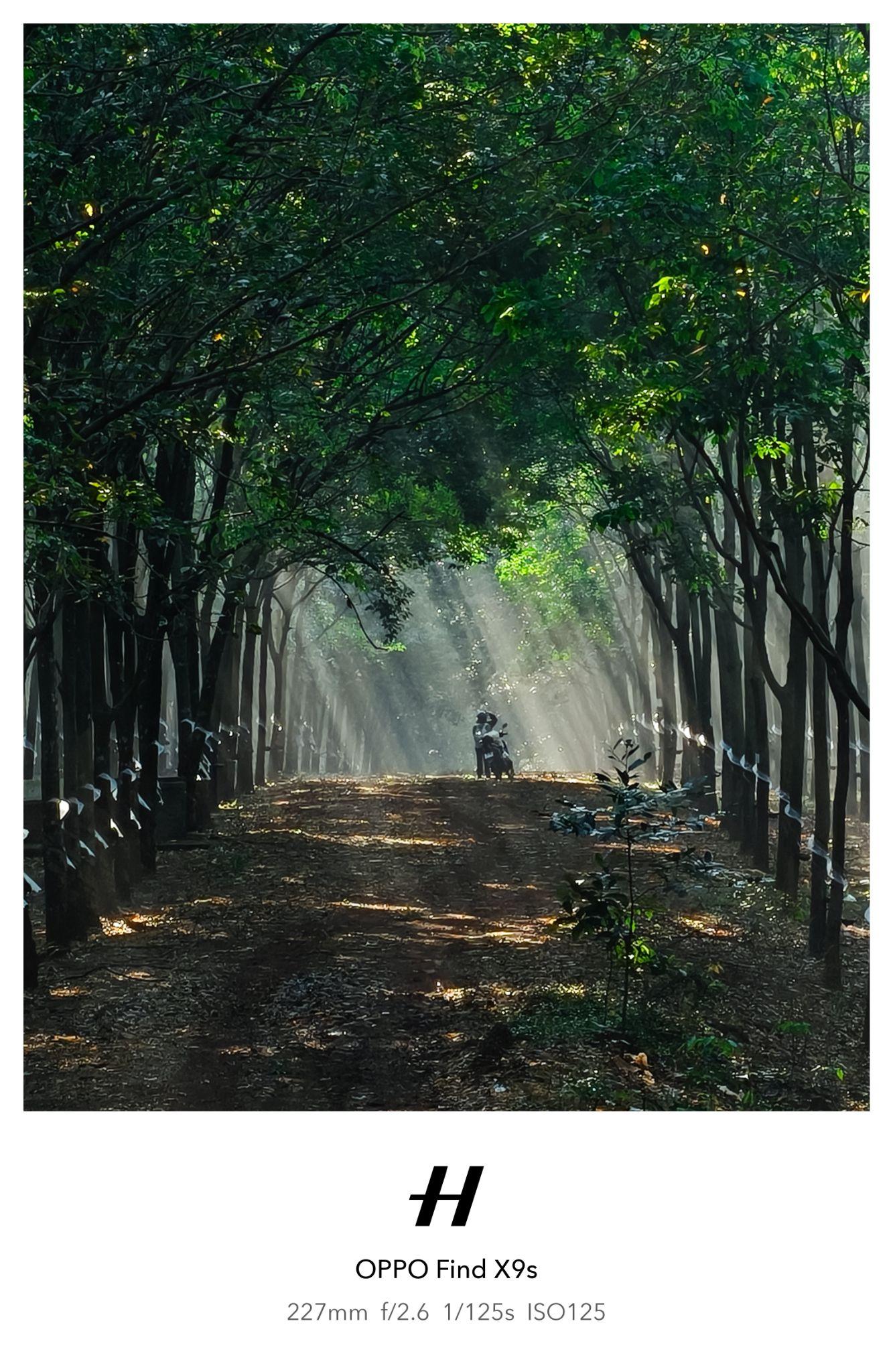 Mang Hasselblad đến tay người dùng Việt - 9