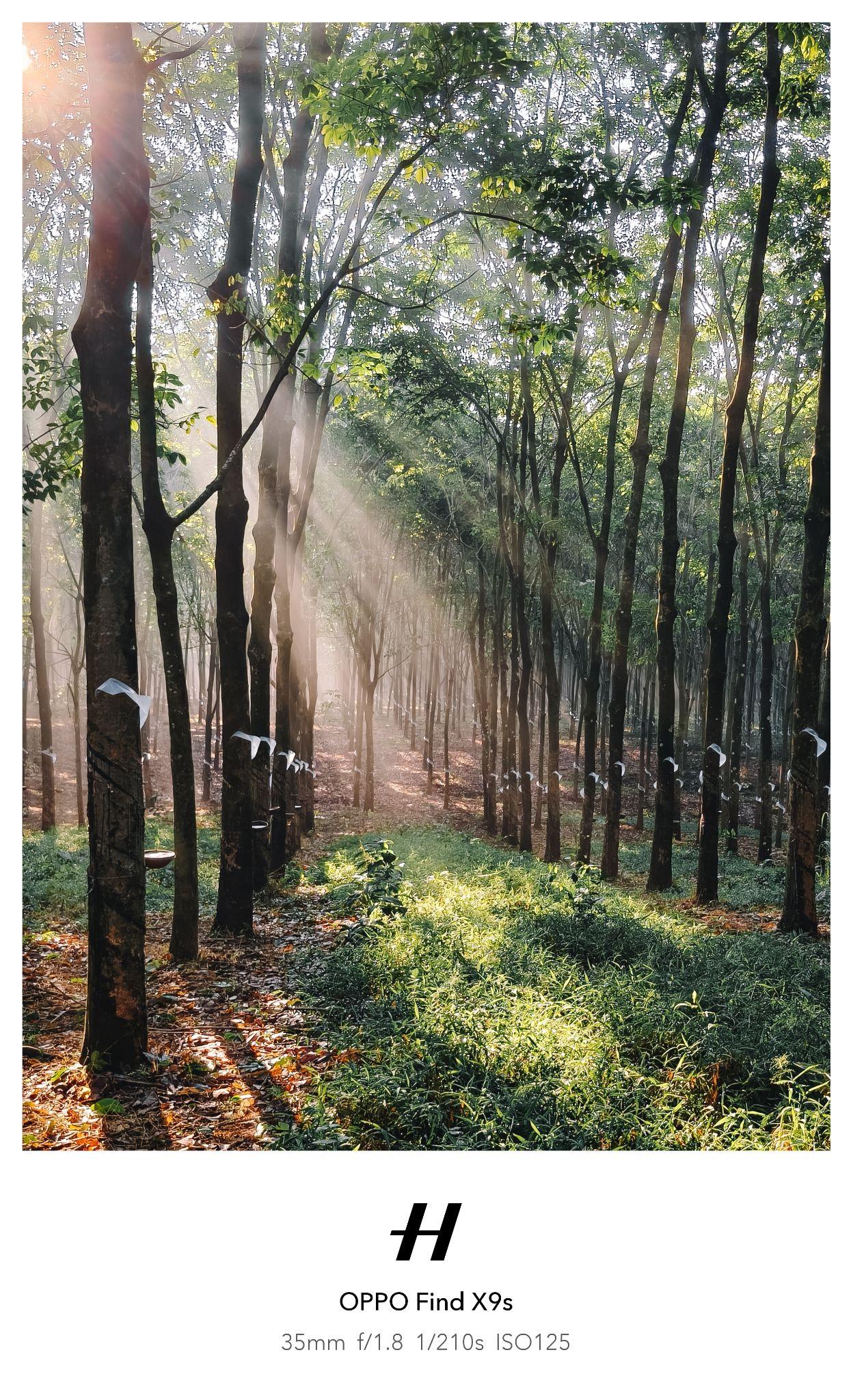 Mang Hasselblad đến tay người dùng Việt - 10