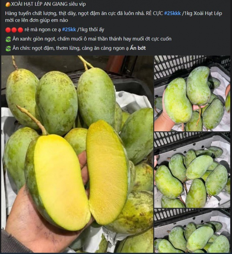 Xoài hạt lép có hương vị thơm ngon, giá cả lại phải chăng nên chiếm được cảm tình của người tiêu dùng.
