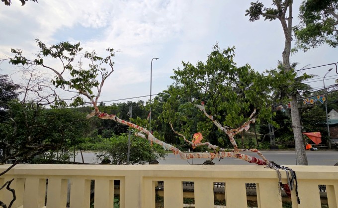Lam Sơn