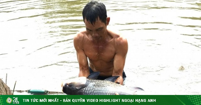 Nuôi thành công loài cá ví như “vua của các loại cá” trên dòng sông Mekong, một người Đồng Tháp có 2-3 tỷ/năm
