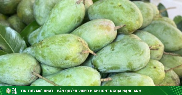 Xoài hạt lép là xoài gì mà được nhiều người tiêu dùng tiêu thụ 'chóng mặt' đến vậy?