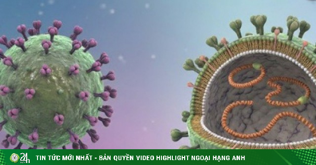 Cảnh giác nguy cơ nhiễm virus Hanta từ thực phẩm bị chuột xâm nhập