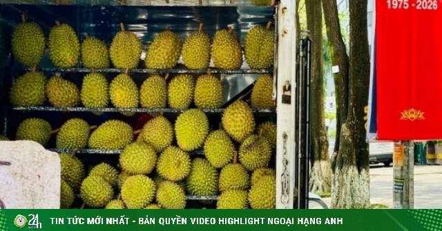 Loạn giá sầu riêng, nơi bán vài chục nghìn, nơi lên tới hàng trăm nghìn một kg