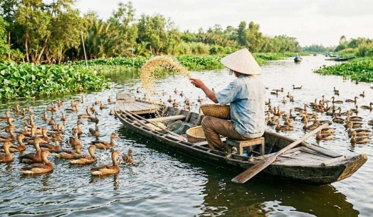 Ông Lê Thanh Tùng cho le le ăn. Ảnh: T.Đ