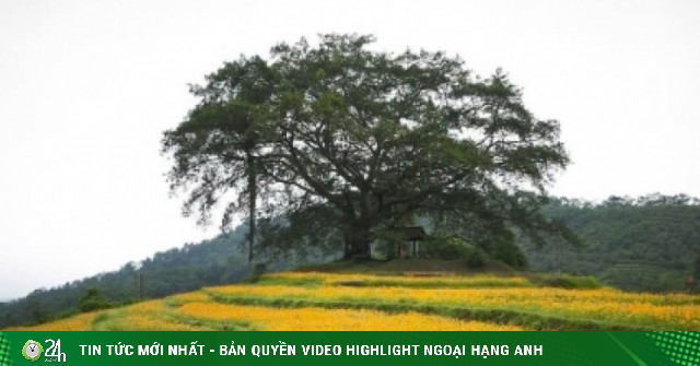 4 điểm đến giải nhiệt mùa hè ít người biết tại Phú Thọ