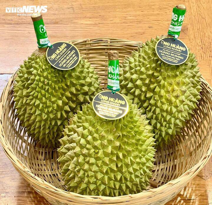 Dù thị trường sầu riêng phổ thông giảm giá mạnh, dòng Musang King cao cấp vẫn duy trì sức hút tại TP.HCM.