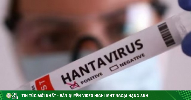 WHO cảnh báo về ổ dịch virus Hanta trên tàu du lịch
