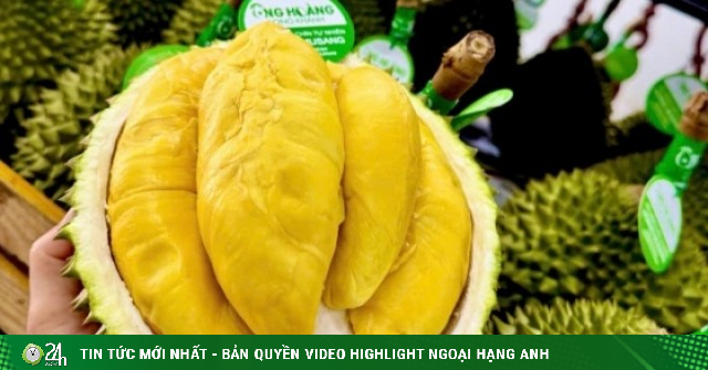 Sầu riêng 50.000 đồng/kg vẫn khó bán, loại nửa triệu đồng/kg lại ‘cháy hàng’