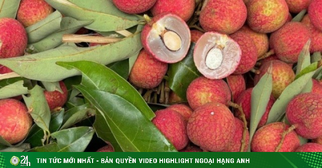 Nguyên nhân nào khiến giá vải tươi năm nay có giá cao chót vót?