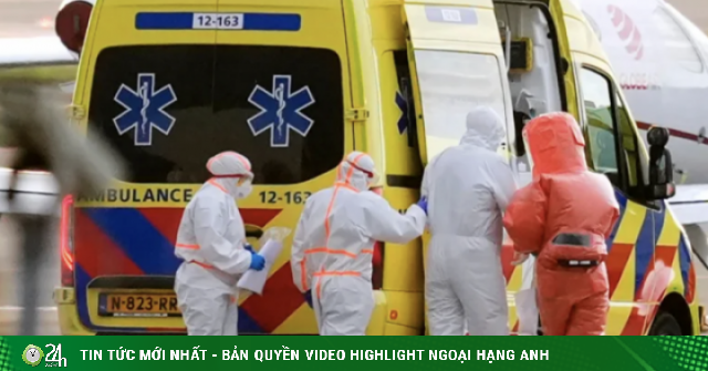 Loạt quốc gia chạy đua truy tìm virus chết người hantavirus