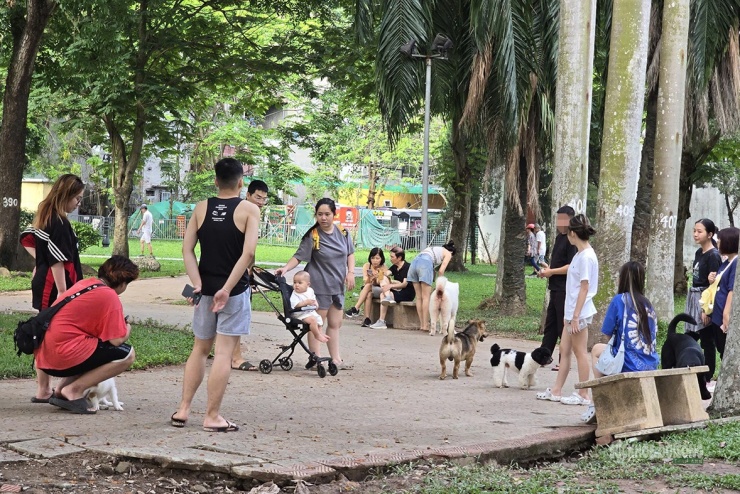 Sự chủ quan của một bộ phận người nuôi thú cưng đang khiến không gian công cộng trở nên kém an toàn. Trong khi chủ nuôi thoải mái vui đùa cùng vật nuôi, nhiều người xung quanh lại đi dạo trong tâm trạng thấp thỏm.