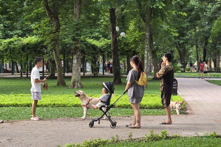 Phụ huynh đưa trẻ nhỏ vào công viên luôn trong tâm lý dè chừng.