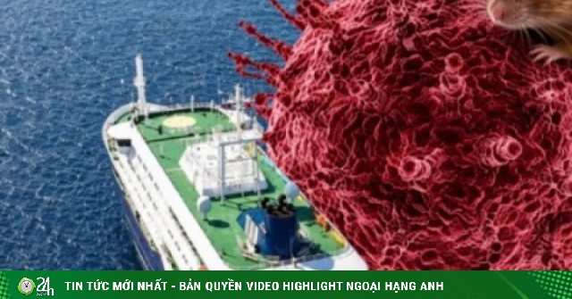 Virus Hanta dễ nhầm với cúm thông thường nhưng có thể chuyển nặng rất nhanh