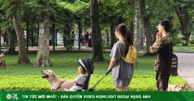 Dạo công viên trong nỗi thấp thỏm vì chó không rọ mõm