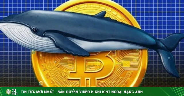 'Cá voi' Bitcoin trị giá 40 tỷ USD thức giấc