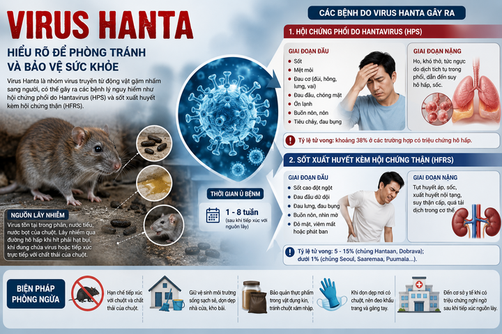 Virus Hanta có thể gây suy hô hấp cấp, sốt xuất huyết kèm suy thận