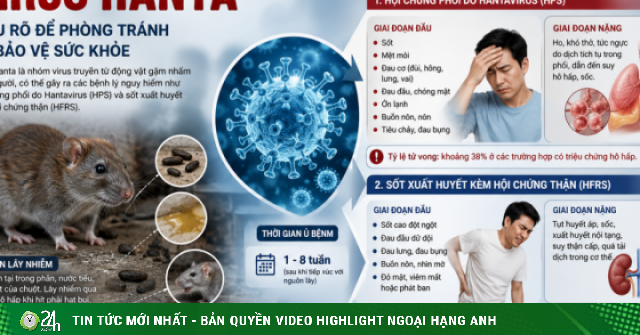 Virus Hanta gây bệnh gì?