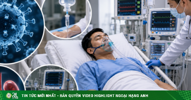 Nhiễm virus Hanta từ chuột: Nguy cơ suy đa tạng và những lưu ý điều trị sống còn