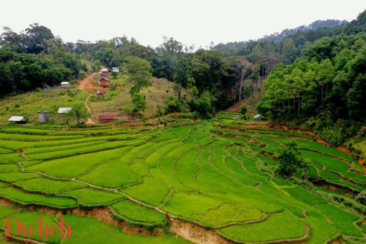 Những ngôi nhà cổ tích tí hon được giới trẻ săn lùng check - in ở làng Kon Tu Ma - 2