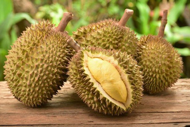 Bình thường thì mùi của loại quả này không tạo thiện cảm là mấy. Ngửi thôi cũng là một vấn đề chứ huống hồ được chế biến thành món lẩu gà từ sầu riêng như thế này. Bên cạnh đó, sầu riêng còn biết đến là nguyên liệu tạo ra các món tráng miệng thì càng khó mà hình dung trong một món mặn sẽ thế nào?