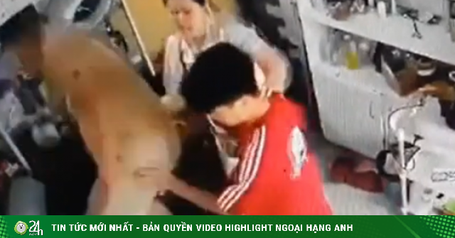 Công an vào cuộc vụ người phụ nữ ôm trẻ nhỏ bị hành hung liên tiếp ở Hà Nội