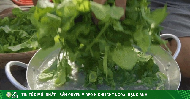 Sản vật không tốn tiền mua ở miền Tây, nấu canh ăn ngon lại mát
