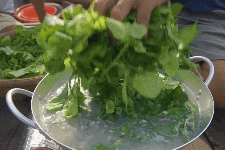 Sản vật không tốn tiền mua ở miền Tây, nấu canh ăn ngon lại mát - 5