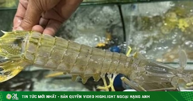 Chủ quán hải sản qua đời sau khi bị tố bán 4 con bề bề với giá 'cắt cổ'