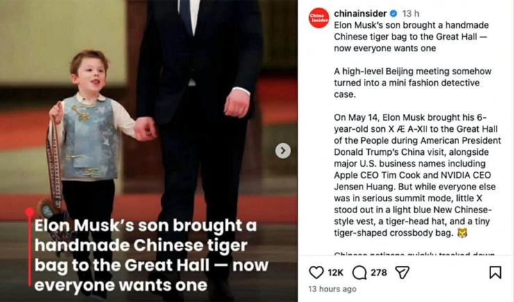 Elon Musk's son, X, is causing a sensation on social media with his handmade tiger-head shaped bag.