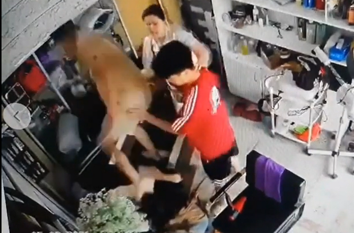 Hình ảnh 2 thanh niên lao vào hành hung phụ nữ đang ôm con nhỏ.