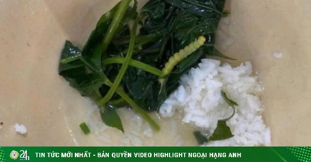 Xác minh thông tin 'vật thể lạ trong thức ăn' của sinh viên ở Huế