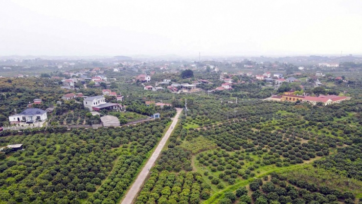 Bảo Khánh