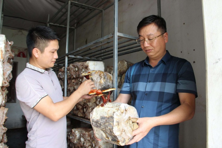 Hoàng Tính